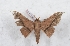  ( - Bc-Her5414)  @12 [ ] Unspecified (default): All Rights Reserved  Unspecified Unspecified