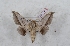  ( - Bc-Her5416)  @11 [ ] Unspecified (default): All Rights Reserved  Unspecified Unspecified