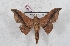  ( - Bc-Her5454)  @11 [ ] Unspecified (default): All Rights Reserved  Unspecified Unspecified