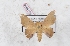  ( - Bc-Her5514)  @11 [ ] Unspecified (default): All Rights Reserved  Unspecified Unspecified