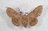  ( - Bc-Her5520)  @11 [ ] Unspecified (default): All Rights Reserved  Unspecified Unspecified