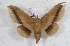  ( - Bc-Her5521)  @11 [ ] Unspecified (default): All Rights Reserved  Unspecified Unspecified