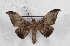  ( - Bc-Her5531)  @11 [ ] Unspecified (default): All Rights Reserved  Unspecified Unspecified