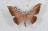  ( - Bc-Her5580)  @11 [ ] Unspecified (default): All Rights Reserved  Unspecified Unspecified