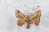  ( - Bc-Her5595)  @11 [ ] Unspecified (default): All Rights Reserved  Unspecified Unspecified