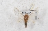  ( - Bc-Her5621)  @12 [ ] Unspecified (default): All Rights Reserved  Unspecified Unspecified