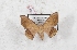  ( - Bc-Her5659)  @11 [ ] Unspecified (default): All Rights Reserved  Unspecified Unspecified