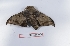  ( - Bc-Her5736)  @11 [ ] Unspecified (default): All Rights Reserved  Unspecified Unspecified