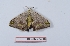  ( - Bc-Her5739)  @11 [ ] Unspecified (default): All Rights Reserved  Unspecified Unspecified