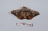  ( - Bc-Her5741)  @11 [ ] Unspecified (default): All Rights Reserved  Unspecified Unspecified