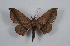  ( - Bc-Her5774)  @11 [ ] Unspecified (default): All Rights Reserved  Unspecified Unspecified