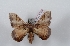  ( - Bc-Her5780)  @11 [ ] Unspecified (default): All Rights Reserved  Unspecified Unspecified