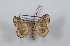 ( - Bc-Her5791)  @11 [ ] Unspecified (default): All Rights Reserved  Unspecified Unspecified