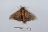  ( - Bc-Her5821)  @11 [ ] Unspecified (default): All Rights Reserved  Unspecified Unspecified