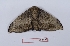  ( - Bc-Her5833)  @11 [ ] Unspecified (default): All Rights Reserved  Unspecified Unspecified