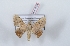 ( - Bc-Her5853)  @11 [ ] Unspecified (default): All Rights Reserved  Unspecified Unspecified