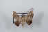  ( - Bc-Her5855)  @11 [ ] Unspecified (default): All Rights Reserved  Unspecified Unspecified