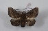  ( - Bc-Her5876)  @11 [ ] Unspecified (default): All Rights Reserved  Unspecified Unspecified
