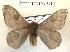  ( - Bc-Her5910)  @11 [ ] Unspecified (default): All Rights Reserved  Unspecified Unspecified