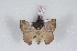  ( - Bc-Her5974)  @11 [ ] Unspecified (default): All Rights Reserved  Unspecified Unspecified