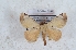  (Peabiru - Bc-Her5989)  @11 [ ] Unspecified (default): All Rights Reserved  Unspecified Unspecified