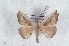  (Kaweskar - Bc-Her5995)  @11 [ ] Unspecified (default): All Rights Reserved  Unspecified Unspecified