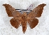  ( - Bc-Her5998)  @11 [ ] Unspecified (default): All Rights Reserved  Unspecified Unspecified
