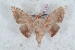  ( - Bc-Her6000)  @11 [ ] Unspecified (default): All Rights Reserved  Unspecified Unspecified