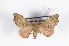  ( - Bc-Her6023)  @11 [ ] Unspecified (default): All Rights Reserved  Unspecified Unspecified
