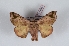  ( - Bc-Her6035)  @11 [ ] Unspecified (default): All Rights Reserved  Unspecified Unspecified