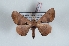 ( - Bc-Her6043)  @11 [ ] Unspecified (default): All Rights Reserved  Unspecified Unspecified