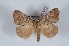  (Tibira - Bc-Her6051)  @11 [ ] Unspecified (default): All Rights Reserved  Unspecified Unspecified