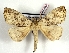  ( - Bc-Her6069)  @11 [ ] Unspecified (default): All Rights Reserved  Unspecified Unspecified