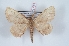  ( - Bc-Her6077)  @11 [ ] Unspecified (default): All Rights Reserved  Unspecified Unspecified