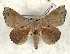  ( - Bc-Her6081)  @11 [ ] Unspecified (default): All Rights Reserved  Unspecified Unspecified