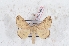  (Zapata - Bc-Her6083)  @11 [ ] Unspecified (default): All Rights Reserved  Unspecified Unspecified