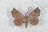  ( - Bc-Her6088)  @11 [ ] Unspecified (default): All Rights Reserved  Unspecified Unspecified