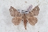  ( - Bc-Her6093)  @11 [ ] Unspecified (default): All Rights Reserved  Unspecified Unspecified