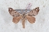  ( - Bc-Her6094)  @11 [ ] Unspecified (default): All Rights Reserved  Unspecified Unspecified