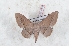  ( - Bc-Her6109)  @11 [ ] Unspecified (default): All Rights Reserved  Unspecified Unspecified