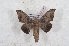  ( - Bc-Her6111)  @11 [ ] Unspecified (default): All Rights Reserved  Unspecified Unspecified