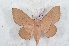 ( - Bc-Her6118)  @11 [ ] Unspecified (default): All Rights Reserved  Unspecified Unspecified
