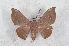  ( - Bc-Her6119)  @11 [ ] Unspecified (default): All Rights Reserved  Unspecified Unspecified
