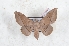  ( - Bc-Her6121)  @11 [ ] Unspecified (default): All Rights Reserved  Unspecified Unspecified