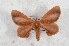  ( - Bc-Her6124)  @11 [ ] Unspecified (default): All Rights Reserved  Unspecified Unspecified