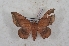  ( - Bc-Her6144)  @11 [ ] Unspecified (default): All Rights Reserved  Unspecified Unspecified