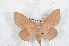  ( - Bc-Her6149)  @11 [ ] Unspecified (default): All Rights Reserved  Unspecified Unspecified