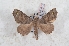  ( - Bc-Her6157)  @11 [ ] Unspecified (default): All Rights Reserved  Unspecified Unspecified