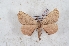  (Misak - Bc-Her6160)  @11 [ ] Unspecified (default): All Rights Reserved  Unspecified Unspecified