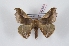  ( - Bc-Her6190)  @11 [ ] Unspecified (default): All Rights Reserved  Unspecified Unspecified